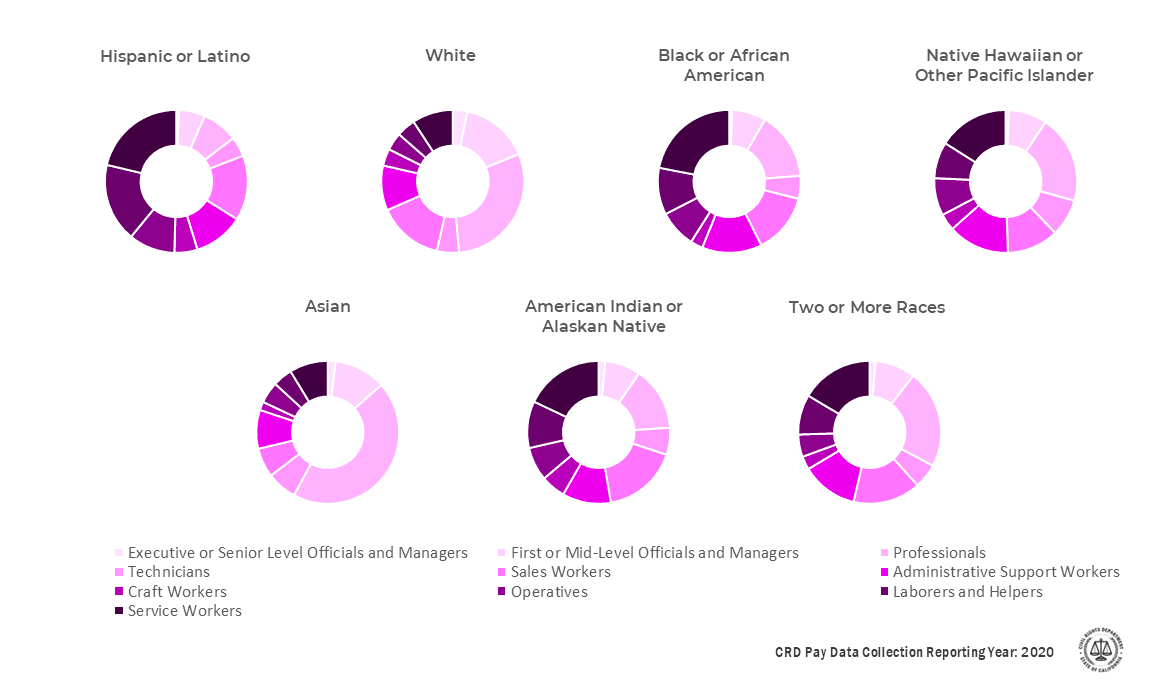 Pie charts displaying the percentage by race/ethnicity of reported California workers across ten different job categories